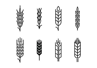 Wheat ears set icons eps svg vector