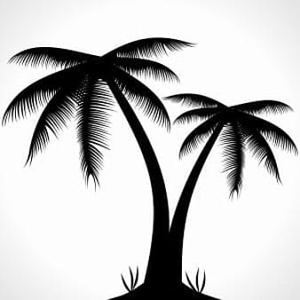 Palm Tree Silhouette ai cdr eps vector