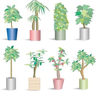 66 Potted Plants ai vector