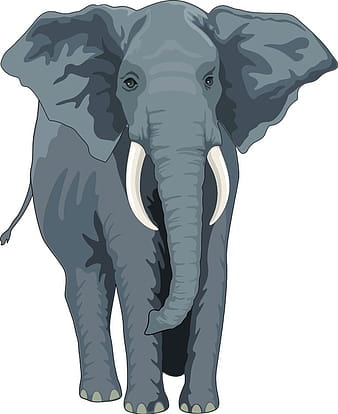 Elephant 2 svg vector