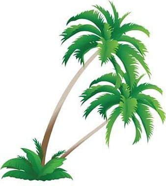 Palm tree 4 ai vector