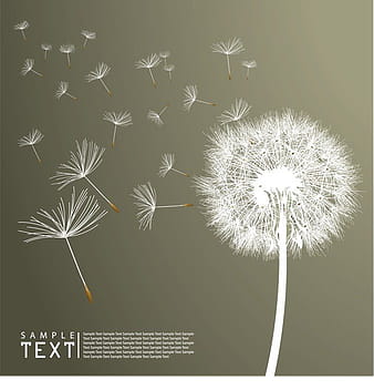 Dandelion Vector 3 eps